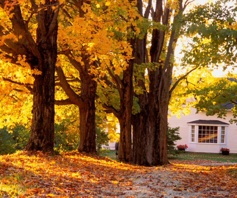 fall safety checklist for your home